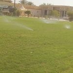 تركيب شبكات ري حديثة