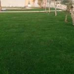 بساتين الرياض | أفضل سعر متر الثيل الطبيعي