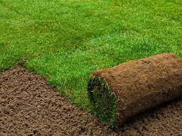 تنسيق حدائق عشب صناعي