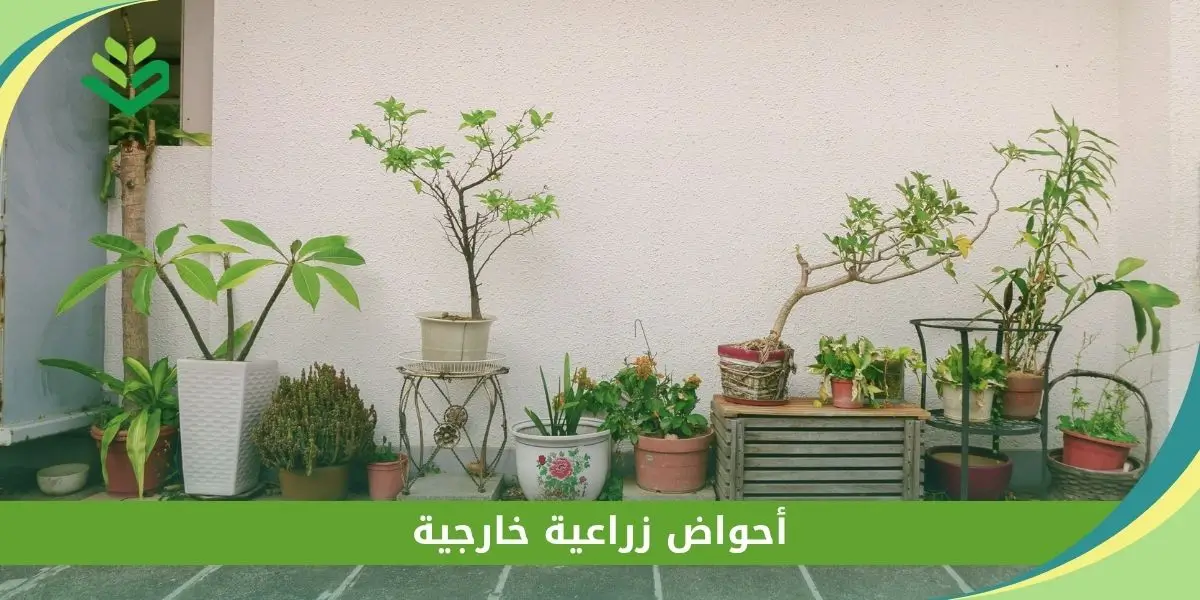أحواض زراعية خارجية