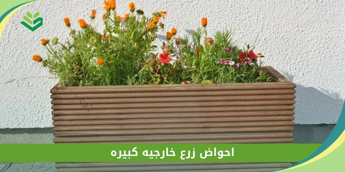 احواض زرع خارجيه كبيره