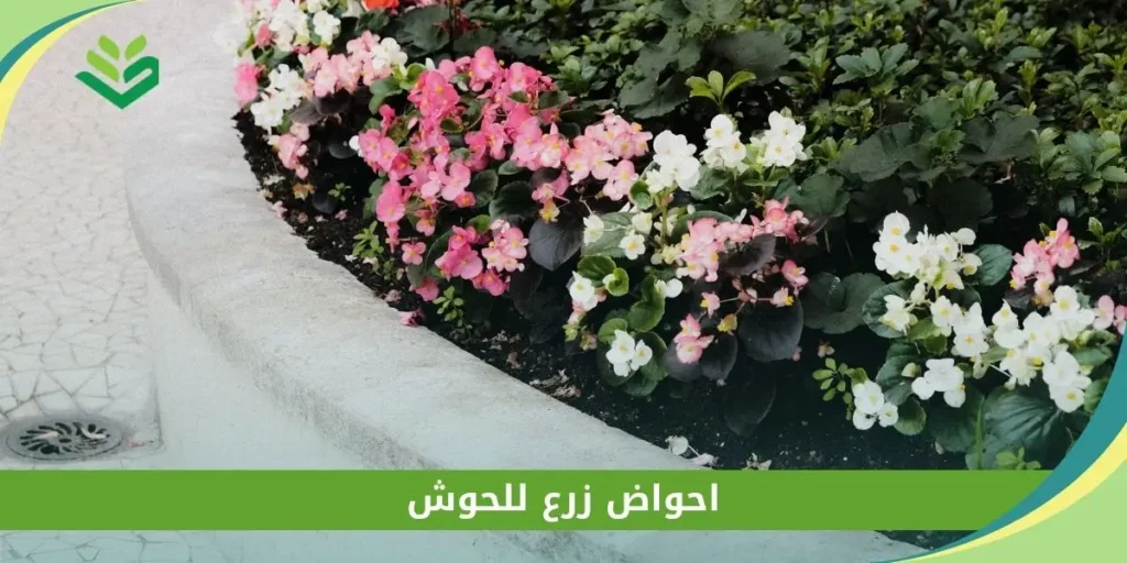 احواض زرع للحوش