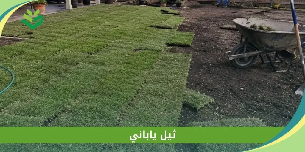 ثيل ياباني