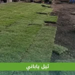 ثيل ياباني