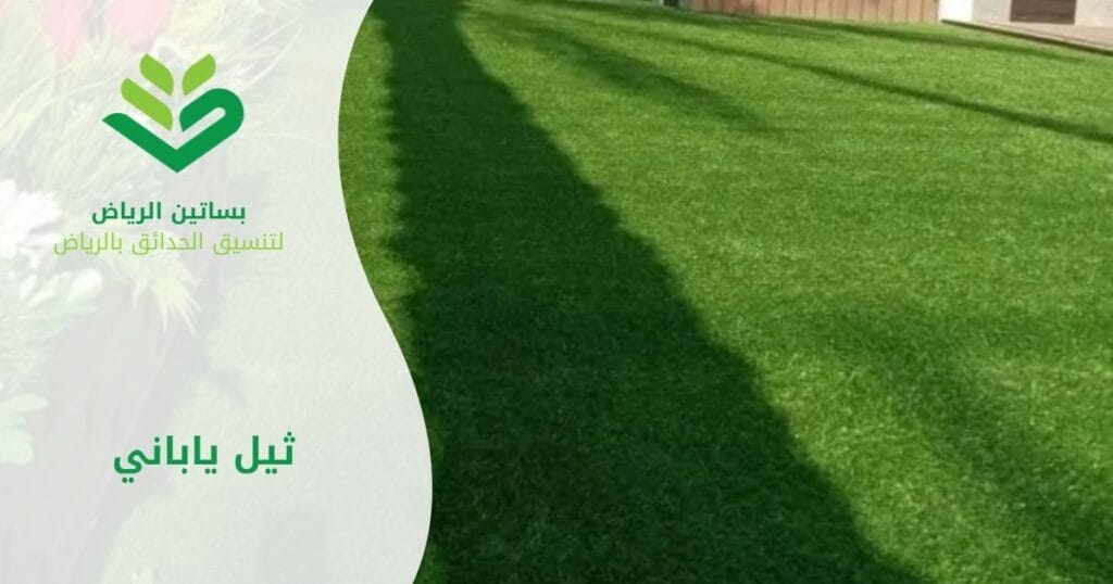بساتين الرياض أفضل شركة ثيل ياباني بالرياض