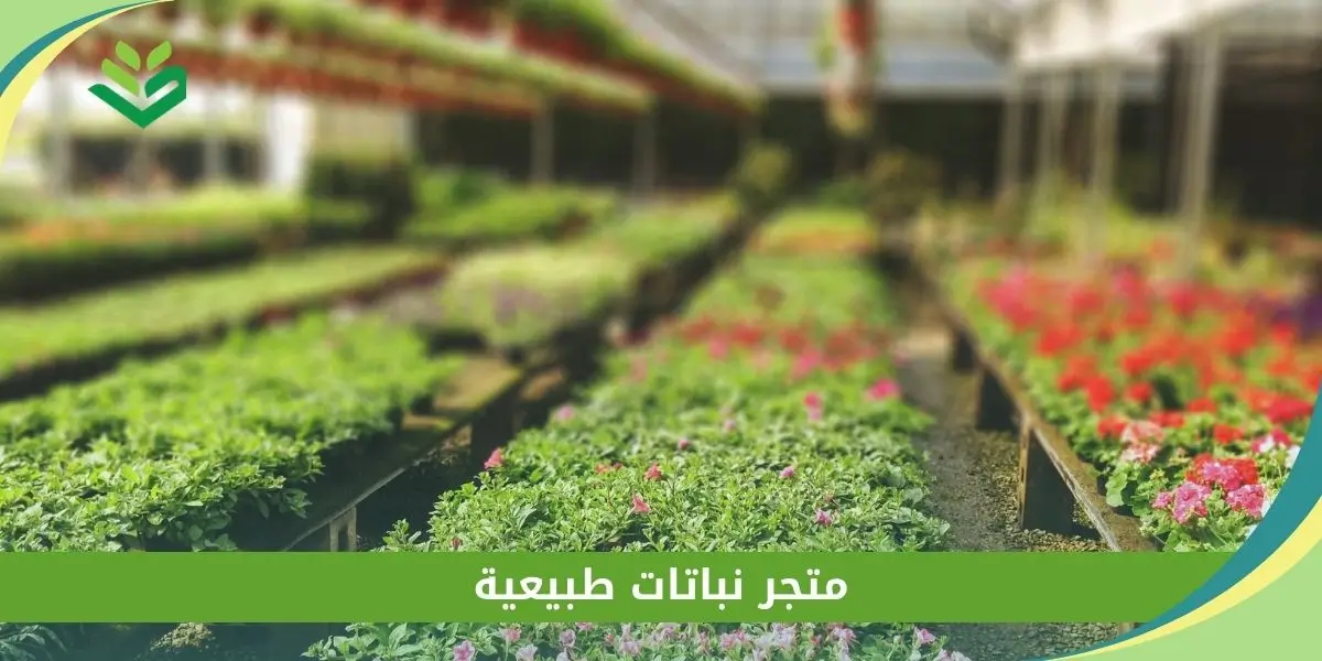 متجر نباتات طبيعية