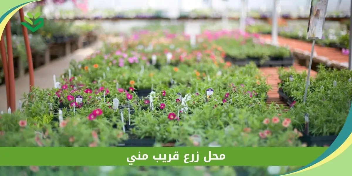 محل زرع قريب مني