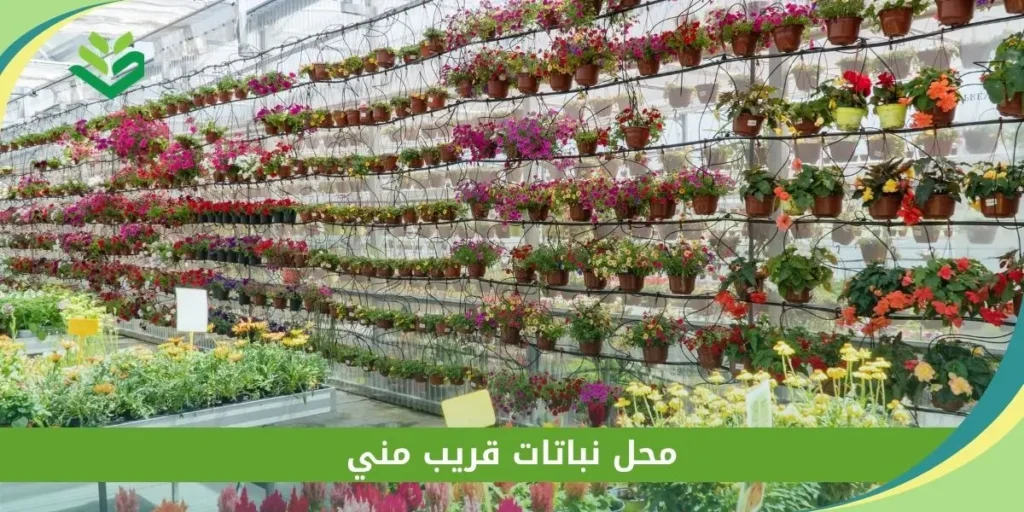 محل نباتات قريب مني