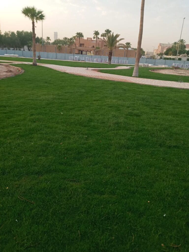 أفضل ثيل فرنسي طبيعي من بساتين الرياض