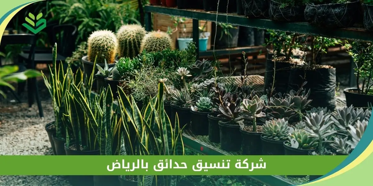 شركة تنسيق حدائق بالرياض