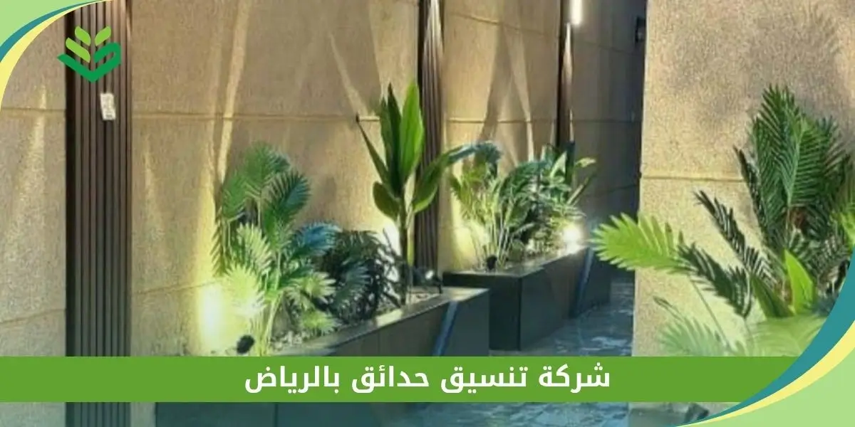 شركة تنسيق حدائق بالرياض