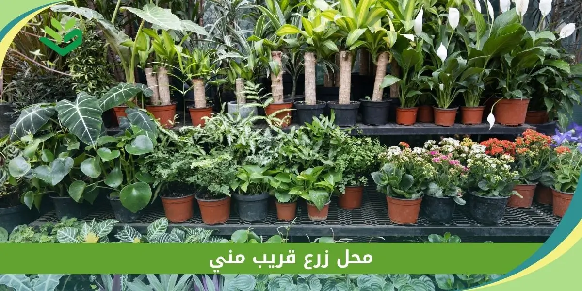 محل زرع قريب مني